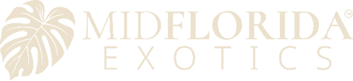 Mid Florida Exotics